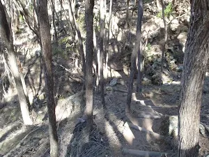 Stairs into small gully