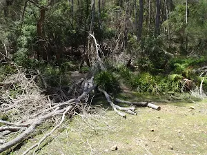 Creek bed of Sandy Beach Creek