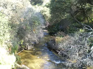 Crossing Jamison Creek