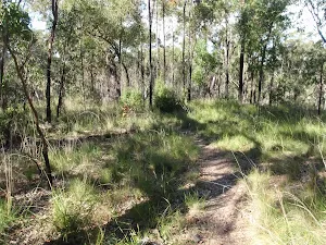 Along the trail above Glenworth Valley