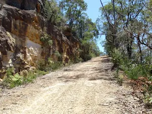 Cutting on Donny's Track
