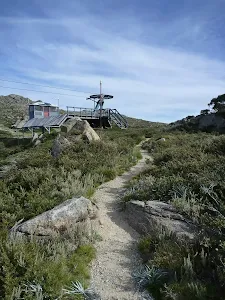 Track looking towards Kangaroo Ridge chairlift 