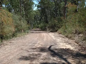 The well maintained old road