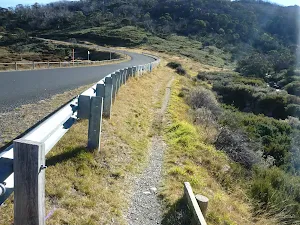 Walking beside Alpine Way