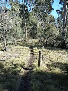 Posts beside track in Kosciuszko National Park