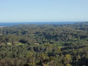 View from the lookout