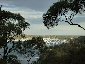 Lovetts Bay Viewpoint