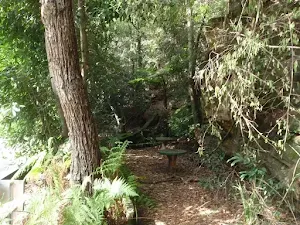 Old Picnic area at base of Cockle Creek lookout track