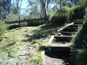 Walking up the steps beside the bobsled run