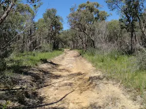 Continuing through the bush