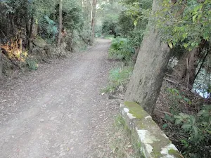 Stone boundary on Lady Carrington Drive