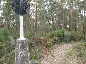Erina Trig