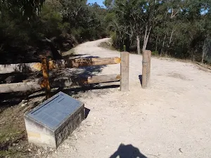 Near the top of Shephards Gully Rd