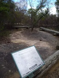Bobbin Head Track Aboriginal Engraving Site