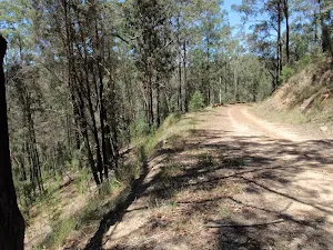 Lower section of Donny's Track