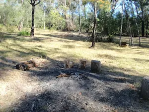Ten Mile Hollow Campsite (top of Simpson Track)