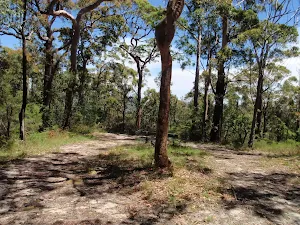 Warriwarri Lookout trail
