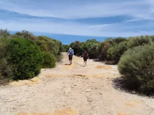Coast Track south of Wattamolla