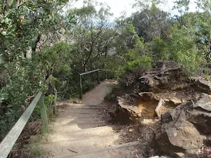 Gordon Falls Lookout track