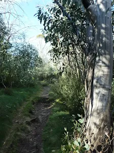 Walking on the eastern side of the golf course