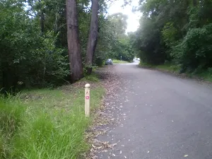 Great North Walk marker near Hornsby