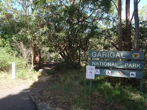 Welcome to Garigal National Park