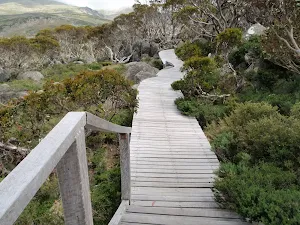 Board walk from Charlotte Pass Lookout