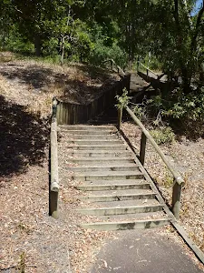 Timber steps in Richley Reserve in Blackbutt Reserve