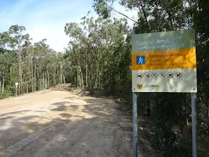 Large clearing and Special Area boundary on Sublime Point Trail west of Leura Falls Creek