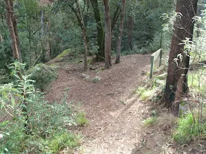 The track intersection