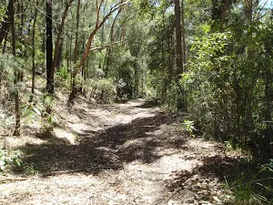 OGNR west of the WCT