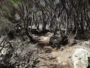 Kangarutha Track south of Boulder Bay