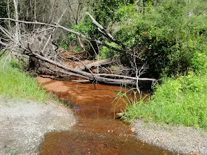 Lower end of Ten Mile Hollow Creek