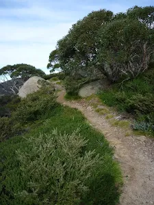 Mt Stilwell Track