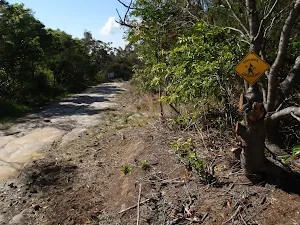 Gnomes Crossing on The Oaks Fire Trail