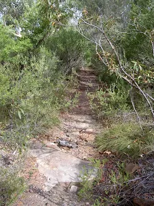 Track through heath from Bundeena Drive