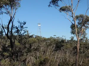 Approaching Fire Tower