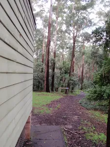start of sheldon forest track