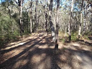 Track up to Bournda Trig