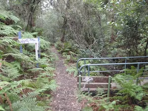 Bridge to Picnic Point