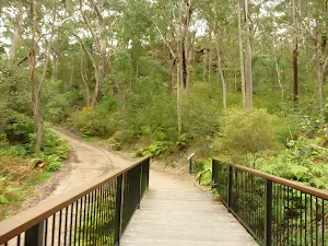 Bellamy fire trail