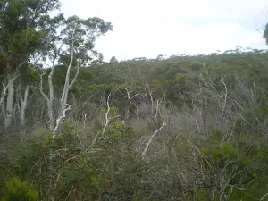 King's Tableland