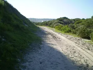 Sandy track near Maroubra Bay and Beach