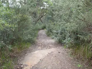 following the Great North Walk