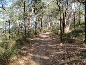 Easy walking
