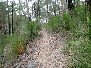 Florabella Track
