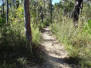 The track to Mt Olive