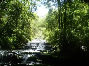 Leura Creek