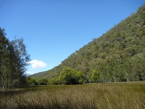 Saltmarsh Near Calna Creek