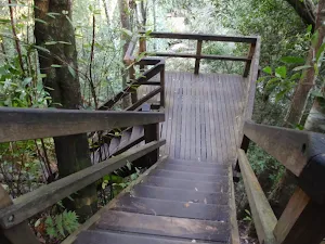 Steps to bottom falls